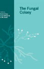 The Fungal Colony - Preview
