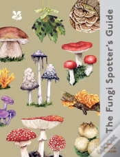 Capa do artigo The Fungi Spotter