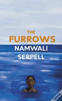 Capa do artigo The Furrows