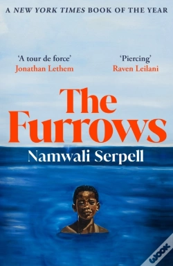 Capa do artigo The Furrows