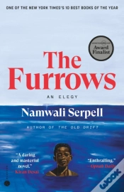 Capa do artigo The Furrows