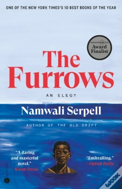 Capa do artigo The Furrows