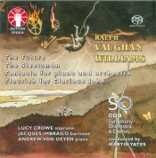 Capa do artigo The Future  & The Steersman - CD