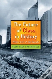 Capa do artigo The Future Of Class In History