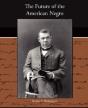 The Future Of The American Negro - Preview