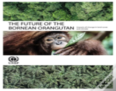 The Future Of The Bornean Orangutan