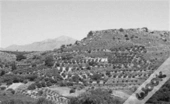The Galatas Survey