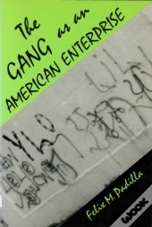 The Gang As An American Enterprise