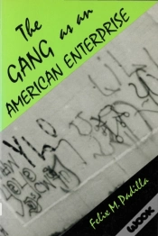 Capa do artigo The Gang As An American Enterprise