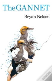 Capa do artigo The Gannet