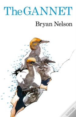 Capa do artigo The Gannet