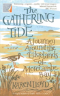 The Gathering Tide - Preview
