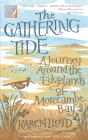 The Gathering Tide - Preview