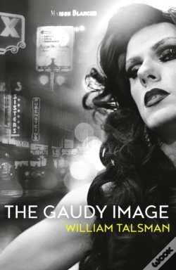 Capa do artigo The Gaudy Image