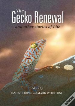 Capa do artigo The Gecko Renewal