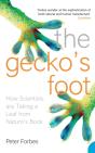 The Geckoâ€™S Foot - Preview