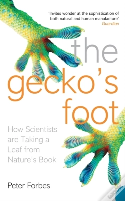Capa do artigo The Geckoâ€™S Foot