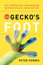 The Gecko'S Foot - Preview