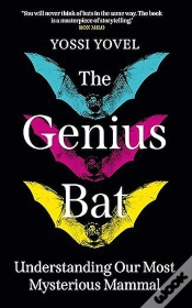 Capa do artigo The Genius Bat