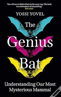 Capa do artigo The Genius Bat