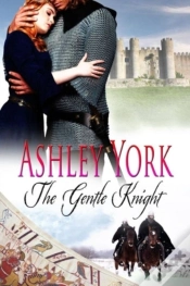 Capa do artigo The Gentle Knight