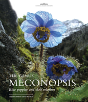 The Genus Meconopsis - Preview