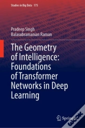 The Geometry Of Intelligence: Foundations Of Transformer Networks In Deep Learning