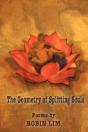 The Geometry Of Splitting Souls - Preview