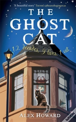 Capa do artigo The Ghost Cat