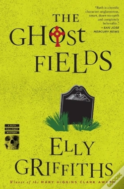 Capa do artigo The Ghost Fields