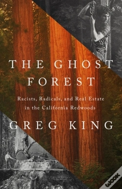 Capa do artigo The Ghost Forest