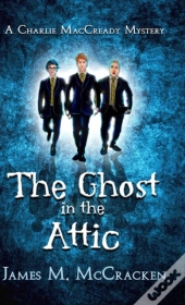 The Ghost In The Attic