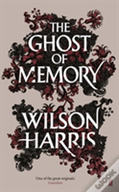 The Ghost Of Memory