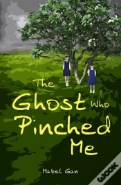 Capa do artigo The Ghost Who Pinched Me