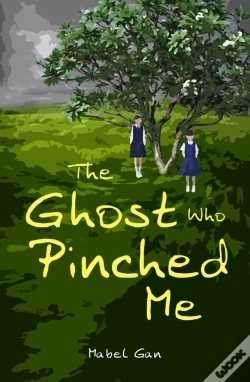 Capa do artigo The Ghost Who Pinched Me