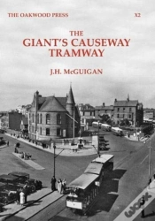 Capa do artigo The Giant
