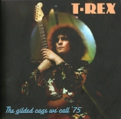 Capa do artigo The Gilded Cage We Call 