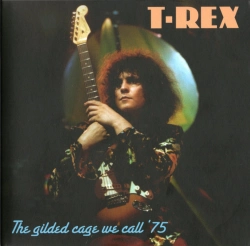 Capa do artigo The Gilded Cage We Call '75 - CD