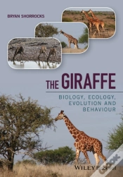 Capa do artigo The Giraffe