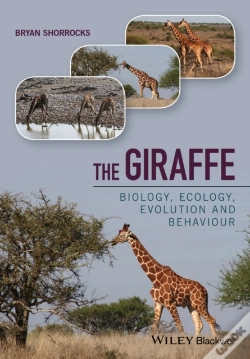 Capa do artigo The Giraffe