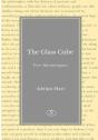 The Glass Cube - Preview