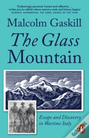 Capa do artigo The Glass Mountain