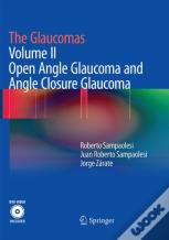 The Glaucomas
