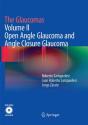 The Glaucomas - Preview