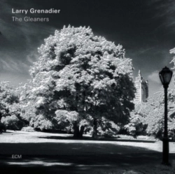Capa do artigo The Gleaners - CD