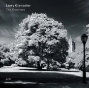 Capa do artigo The Gleaners - CD