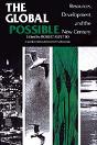 The Global Possible - Preview