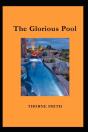 The Glorious Pool By Thorne Smith(Illustrated Edition) - Preview