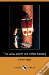 Capa do artigo The Glow-Worm And Other Beetles (Dodo Pr