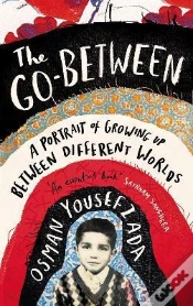 Capa do artigo The Go-Between